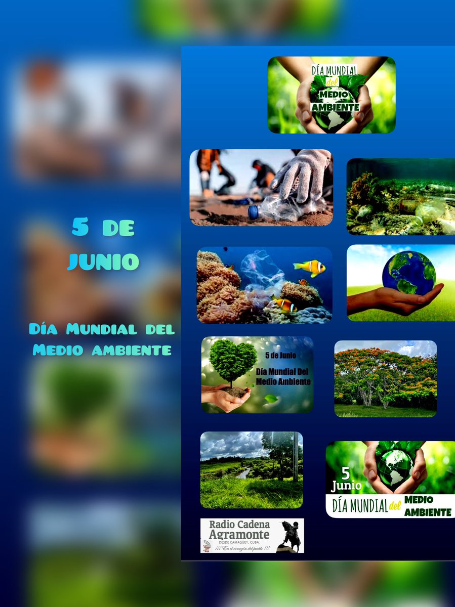 🗓️ #5deJunio Se celebra el Día Mundial del Medio Ambiente, tiene como tema en esta ocasión #SinContaminaciónPorPlástico #CubaPorLaVida #CuidemosElPlaneta #medioambiente
@juanmendoza89 @Pedro_ACM