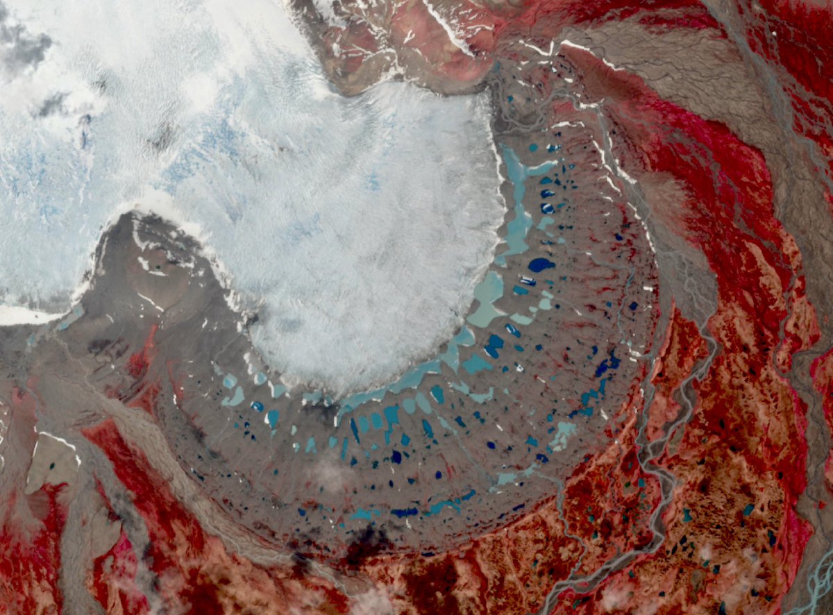 Ragnar Heiðar Þrastarson tweet media