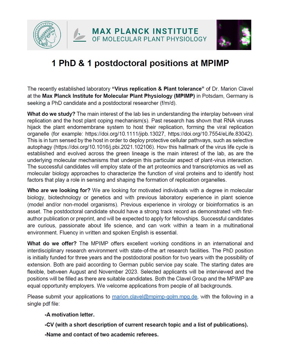 🚨One PhD and one Postdoc position opening in my lab! We will investigate how RNA viruses are able to take advantage of host organelles to accomplish their replication and how plants sense and respond to it. 🦠+🌱=⁉️. Operational base = beautiful Potsdam. See call below⬇️