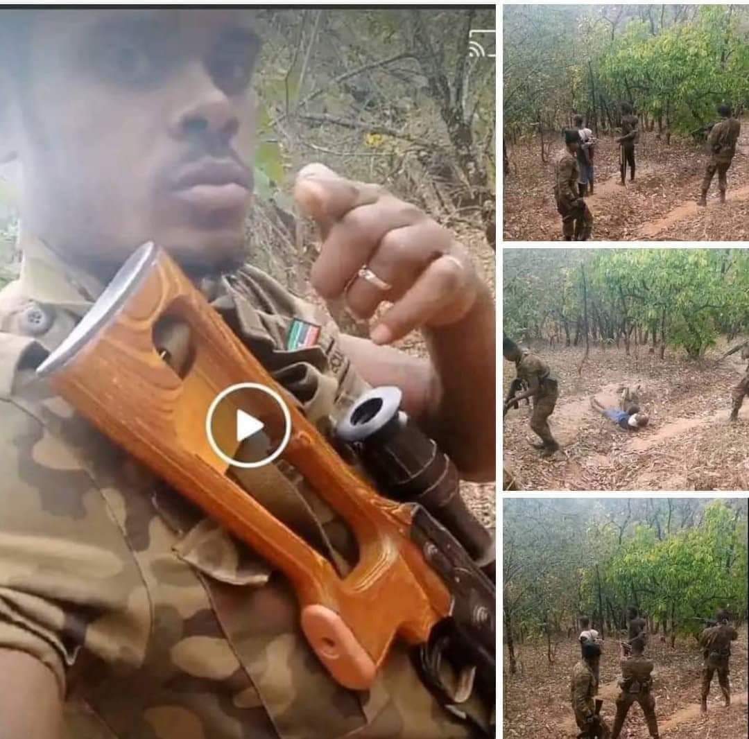 ለህግ ማቅረብ ከተፈለገ አንዱ ማስረጃ ይሄ ነው!

ያውም የፀጥታ አካላትን የደንብ ልብስ በለበሱ ሰዎች የሚፈፀም እንዲህ አይነት የጭካኔ ድርጊት ሊቆም ይገባል።