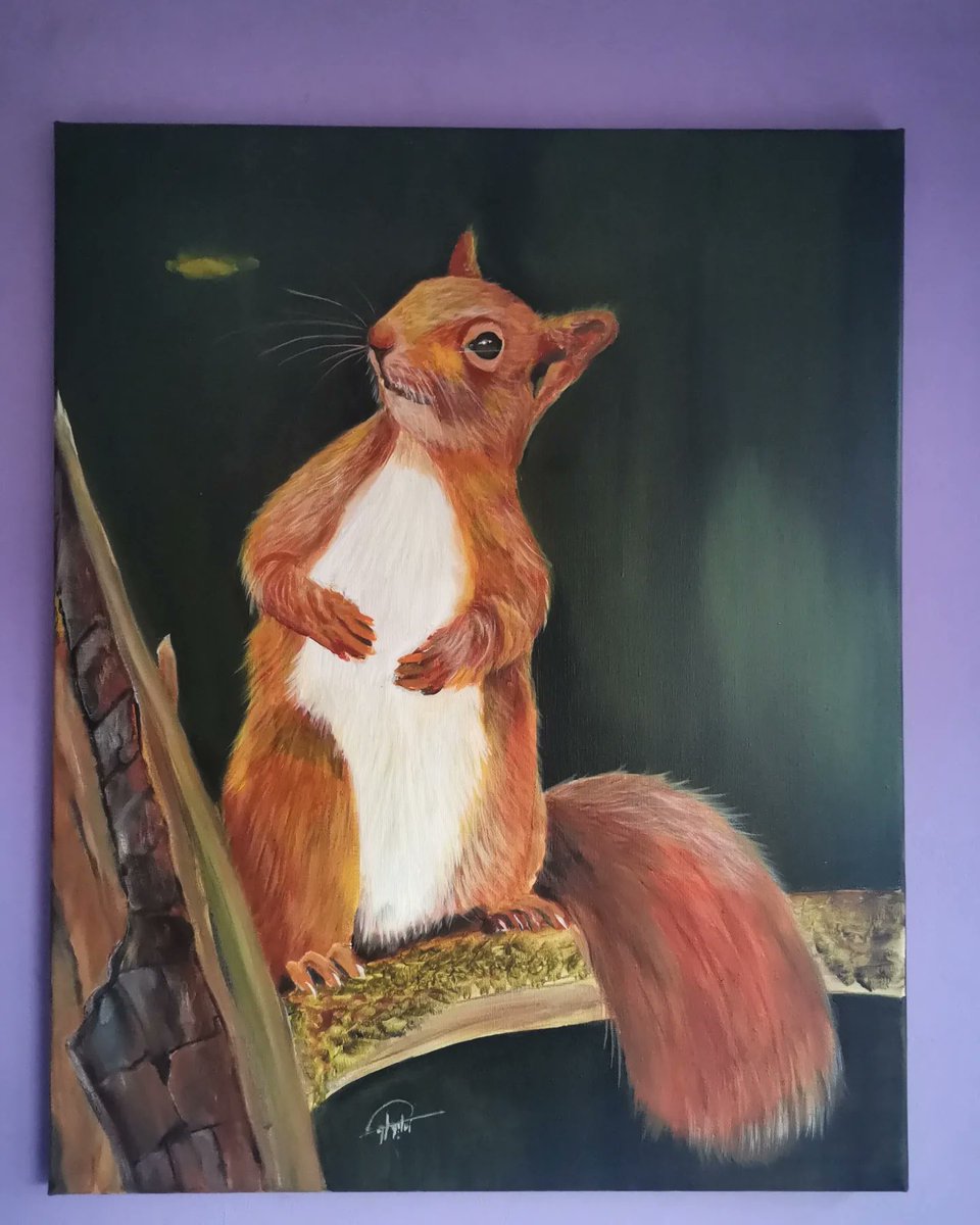 Sleman_Art's tweet photo. #eekhoorn #squirrel
Mijn werk #te_koop
Afmetingen 50x40cm
Voor vragen mag u mij altijd een berichtje.
#Amsterdam #rotterdam #groningen #breda #België #nijmegen #Eindhoven #dieren #animals #DenHaag #zandaam #utrecht #Zwolle #zoetermeer #friesland #maastricht #almere #harlem https://t.co/78wtxZP3TH