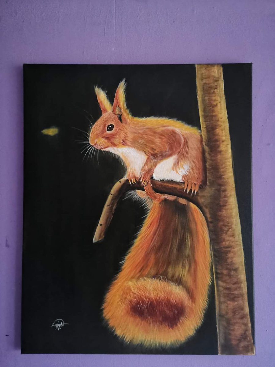 Sleman_Art's tweet photo. #eekhoorn #squirrel
Mijn werk #te_koop
Afmetingen 50x40cm
Voor vragen mag u mij altijd een berichtje.
#Amsterdam #rotterdam #groningen #breda #België #nijmegen #Eindhoven #dieren #animals #DenHaag #zandaam #utrecht #Zwolle #zoetermeer #friesland #maastricht #almere #harlem https://t.co/78wtxZP3TH