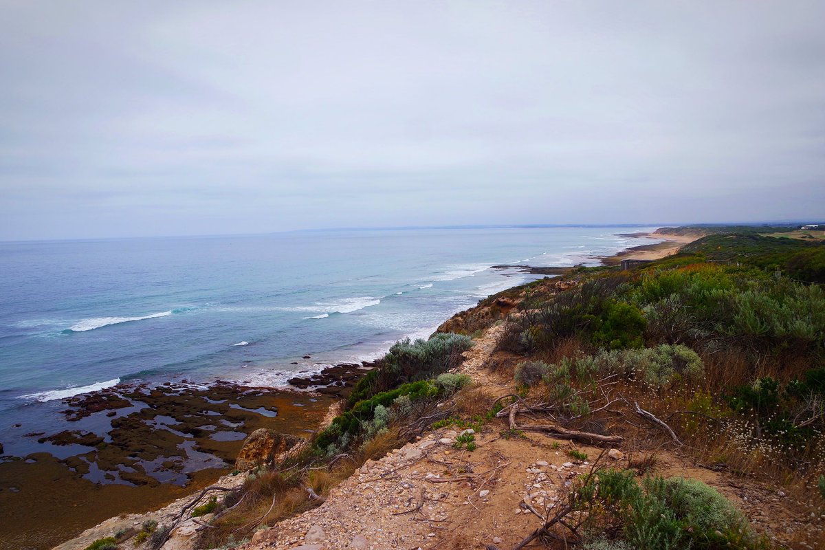 BekiTara92's tweet photo. Travelling along #GreatOceanRoad and taking in some glorious #Australian scenery was very healing ❤️‍🩹 https://t.co/afYVIDZ85e