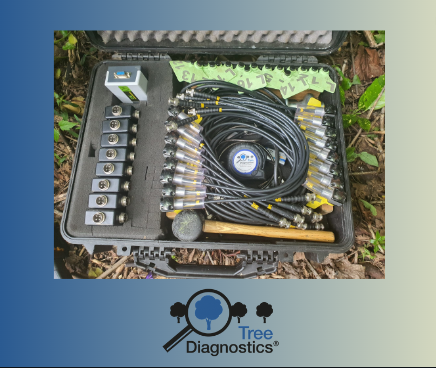 Treediagnostics's tweet image. Well... This is very aesthetically pleasing! 😍

treediagnostics.co.uk   (Hi-tech Equipment Sales &amp;amp; Training)

#sonictomography #treeanalysis #arborists #treeconsulting #treediagnostics #arbthings #arborculture #trees #analysis