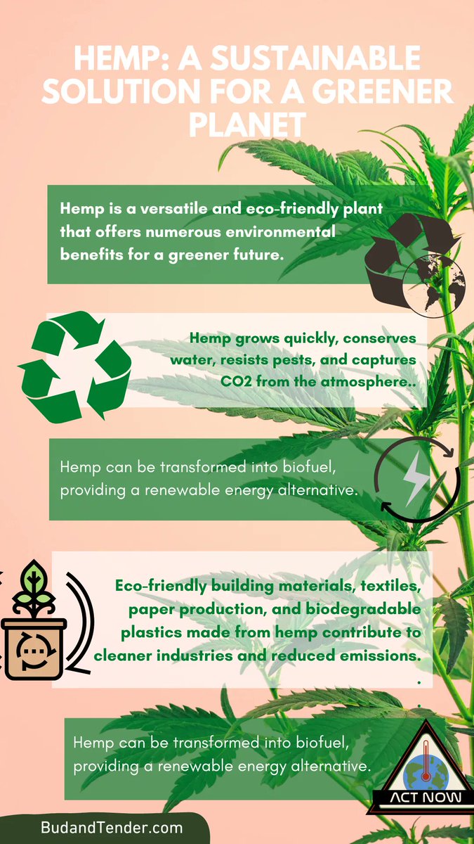 budandtender's tweet image. 🌱 Hemp: A Sustainable Solution for a Greener Planet 🌱 

#hemp #ecofriendly #environmentalconcern #climatechange #sustainable #alternative