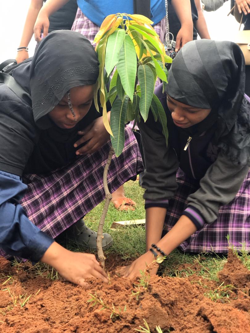 ClimateActionT3's tweet photo. We are playing our part in preserving our environment. Happy #WorldEnvironmentDay_2023 https://t.co/R4uF7HiJD3