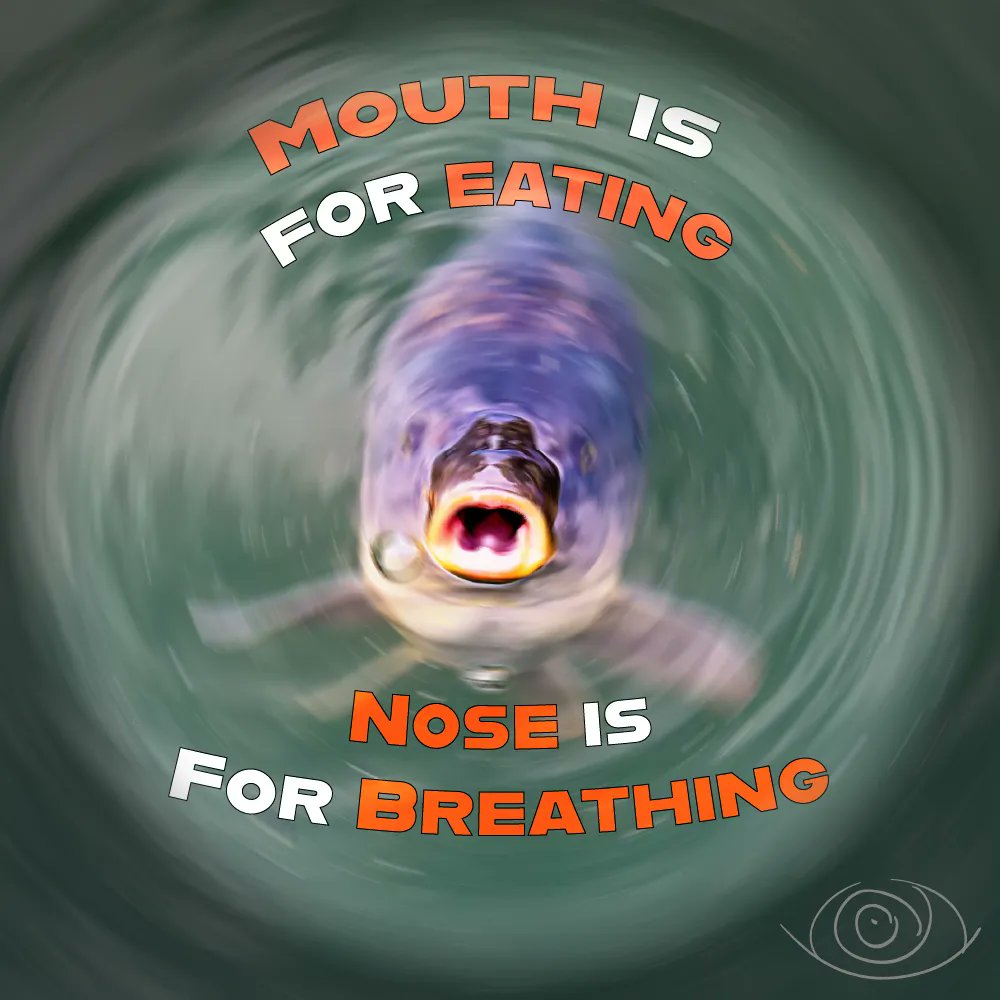 AdamTuffnell's tweet image. Let's reflect... 

Nose breathing is considered the best method of breathing.

Have you been practising nose breathing? Share your thoughts in the comments below 

#fun #brave #creative #mindset #breathe #shapeyourtomorrow #SYT #breathing #breathwork #selfcare