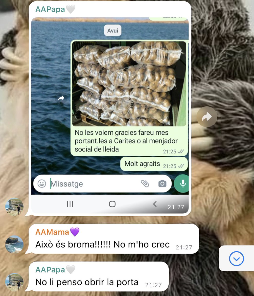kritikona tweet media