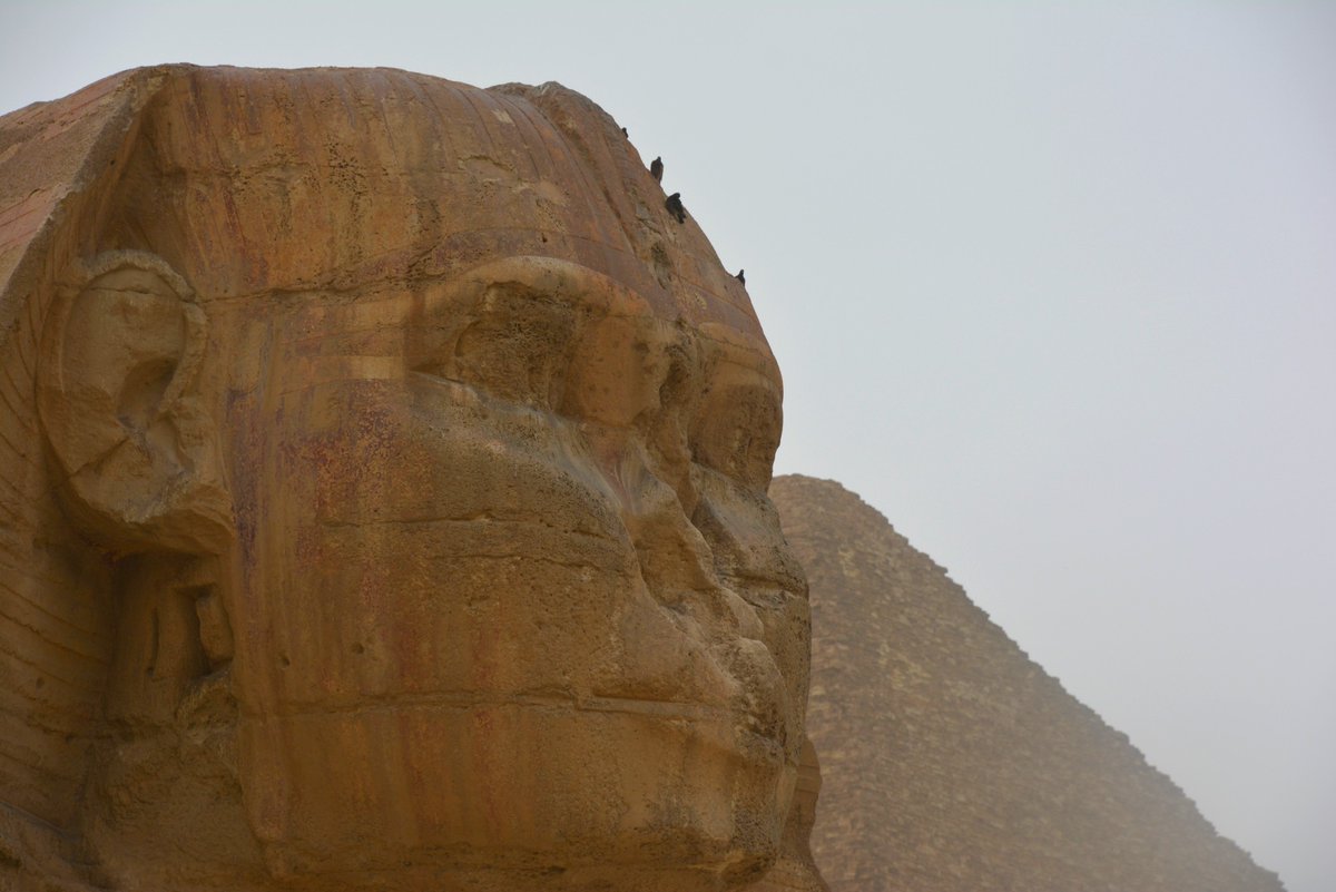 MaldivianM's tweet image. #Egipto milenario, eterno... #Guiza #Esfinge