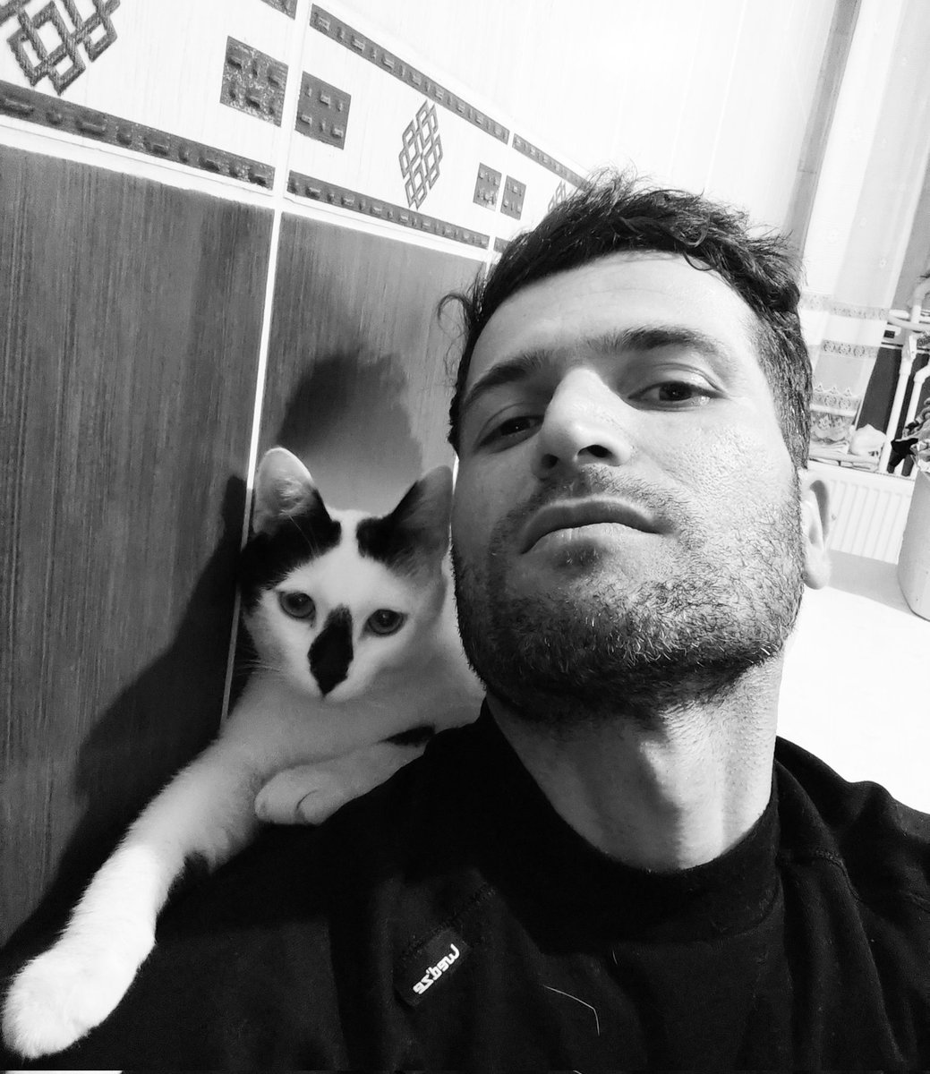 Graphite Czech 🇨🇿🇩🇪🇺🇸 on Twitter "RT LorenzoTheCat Remember our