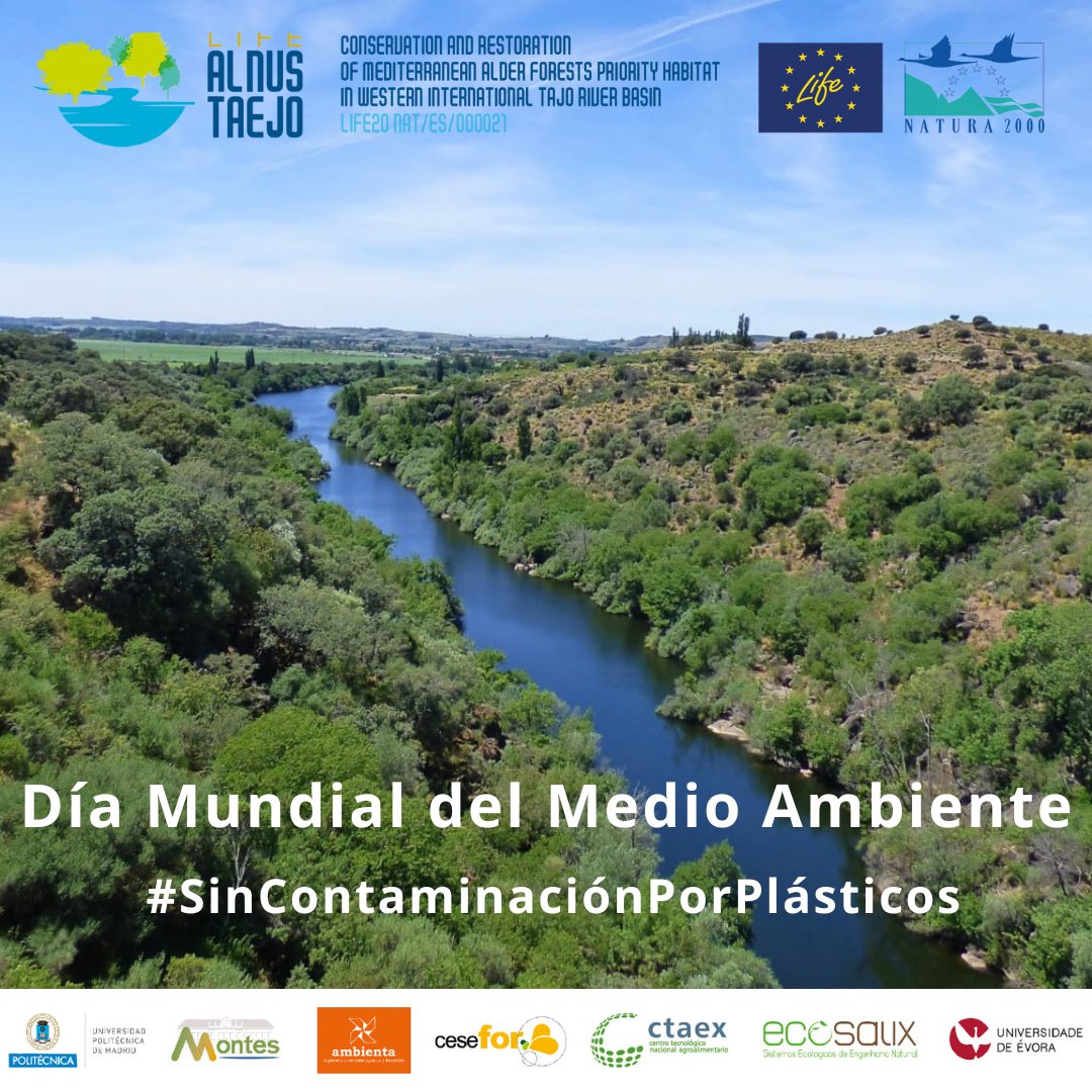 LifeAlnusTaejo's tweet photo. Hoy se conmemora el Día Mundial del Medio ambiente🌳🌳

🗓️50 Aniversario (1973/2023)

🎯 Bajo el lema de "la contaminación por Plásticos"

#RRR 
#SinContaminaciónPorPlásticos

@MontesUPM @ambientaing @CTAEX_CIT @FCesefor #ECOSALIX #UEvora
@LIFEprogramme @cinea_eu @EU_Commission https://t.co/qrGmE0DY3l