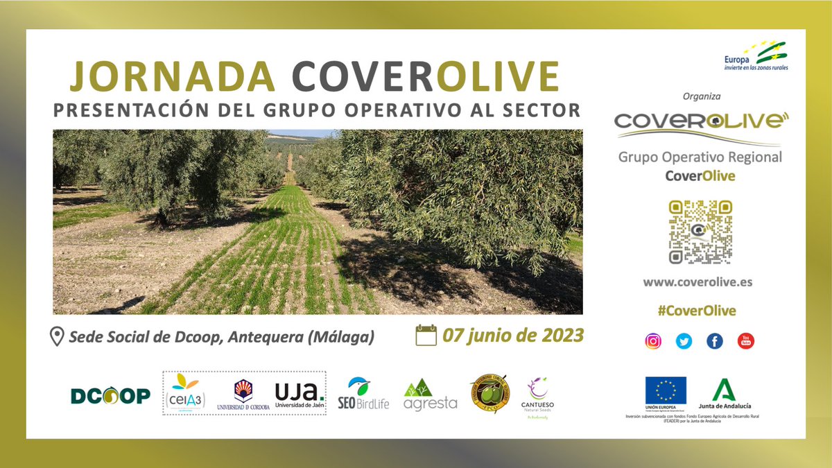 El Grupo Operativo #CoverOlive 🌿celebrará su jornada de presentación al sector, en el municipio malagueño de Antequera, este miércoles, para abordar las actuaciones desarrolladas y los principales resultados obtenidos 🐦🌳

¿Quieres saber más?
👉 rb.gy/65767