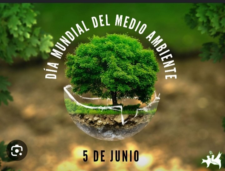 daye_gp's tweet photo. @UJCdeCuba. @UJC_Cienfuegos.@aylinalvarezG.@yorda https://t.co/KuKBEgolix