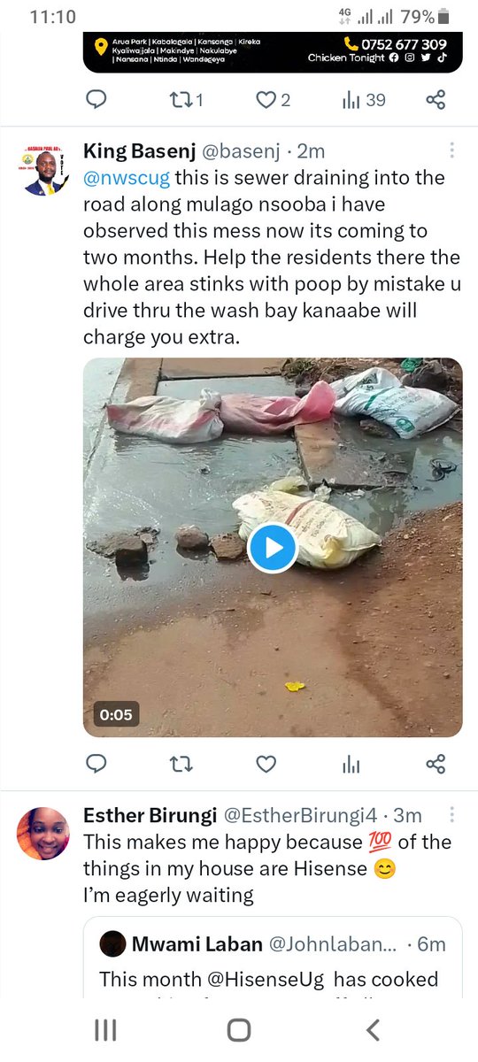 King Basenj (@basenj) on Twitter photo 