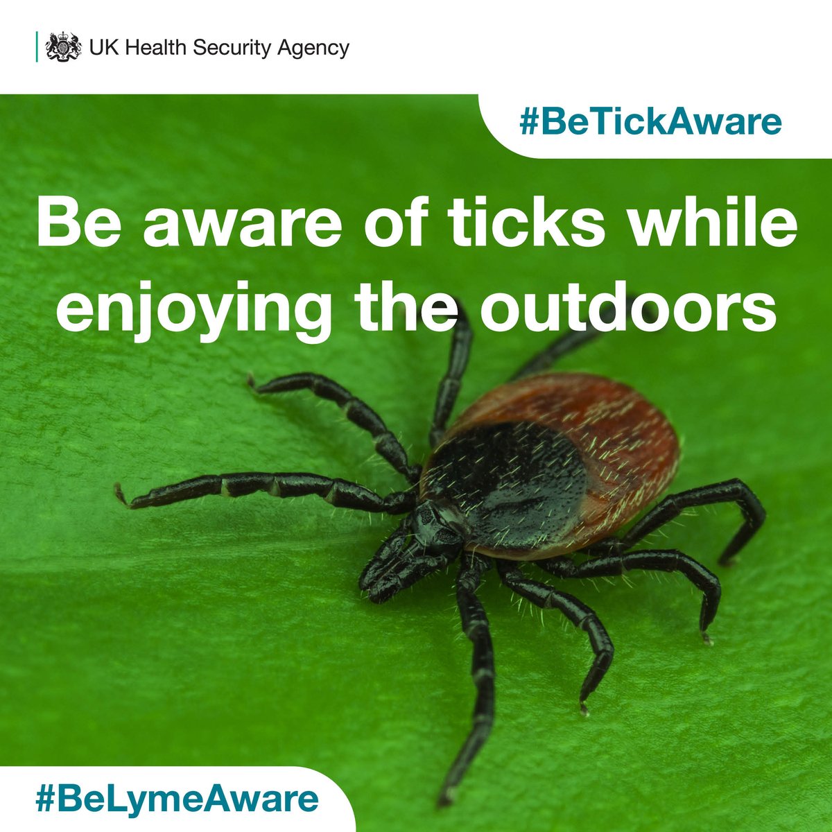 As we head into spring and summer we are reminding people to be ‘tick aware’ as they enjoy the great outdoors.
To help you stay safe this spring and summer, UKHSA have compiled a guide to protecting yourself from tick-borne infections.
#BeLymeAware
#BeTickAware
@Lymenews