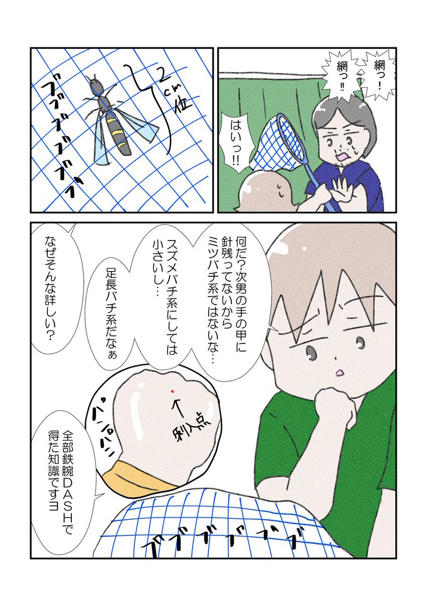 タンスの中で2日くらいお過ごしあそばれたようです怖 #漫画が読めるハッシュタグ #コミックエッセイ #育児漫画 #YOMcoma