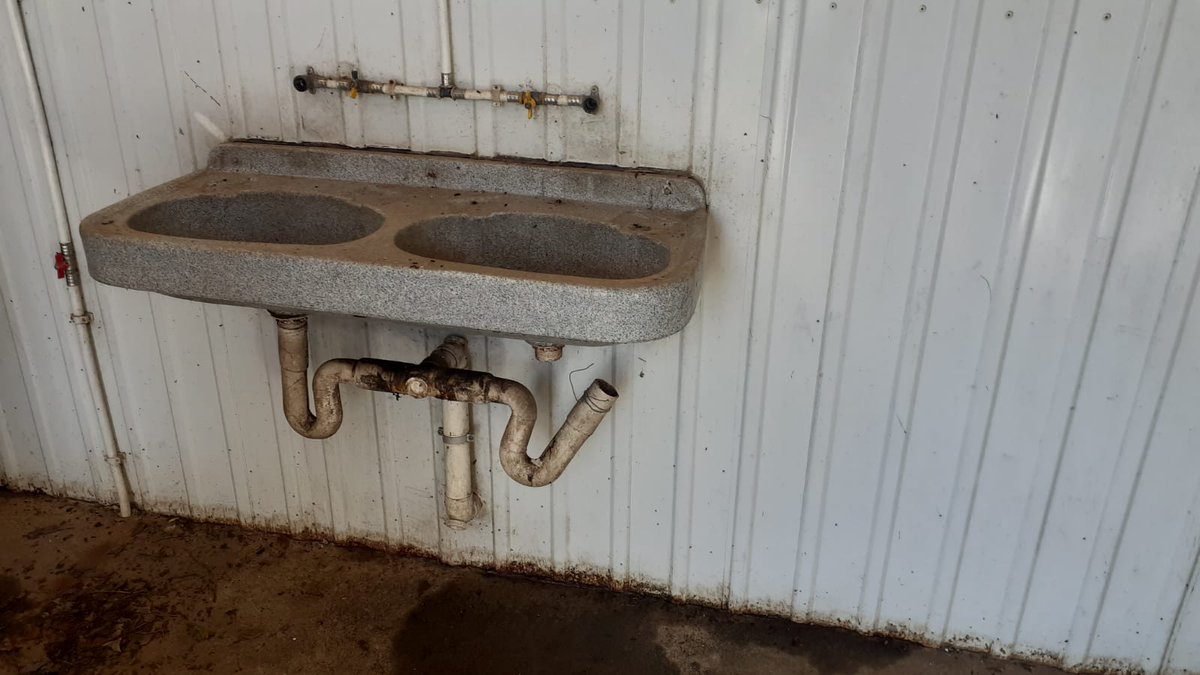 SA SDI Alliance tweet media