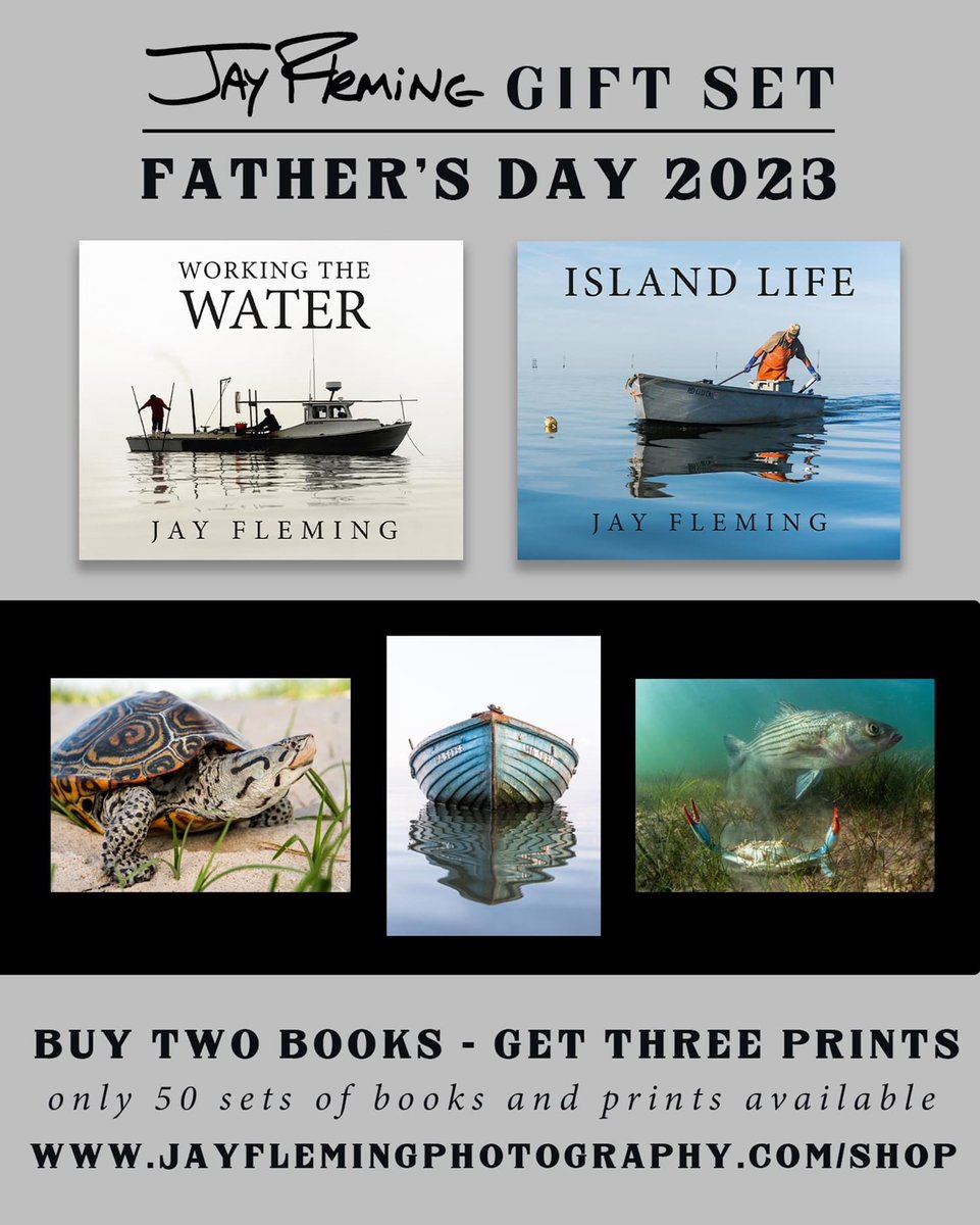 Jay Fleming tweet media