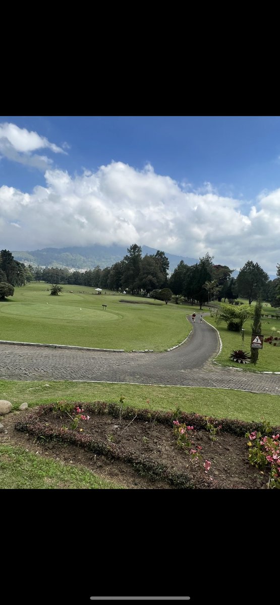 Beautiful things don’t ask for attention !