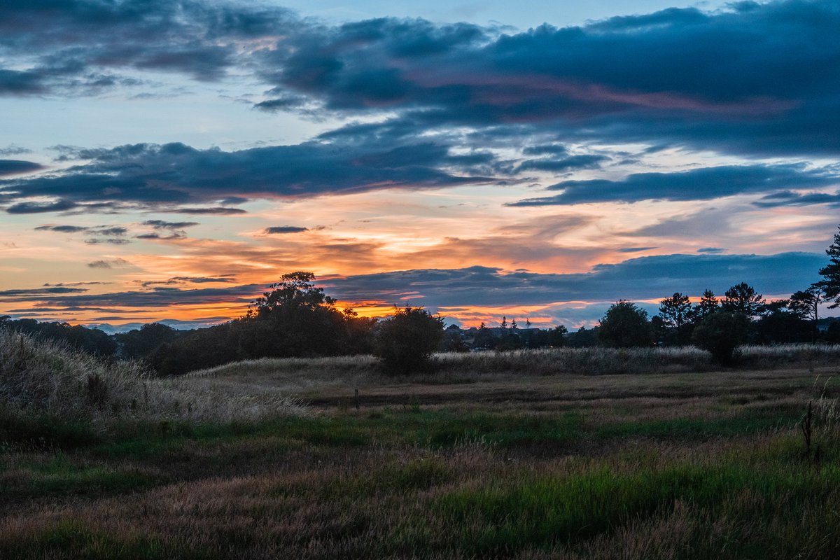 ~ alnmouth in the evenings 🌾🌄 instagram.com/p/CtG0OoAt41O/…