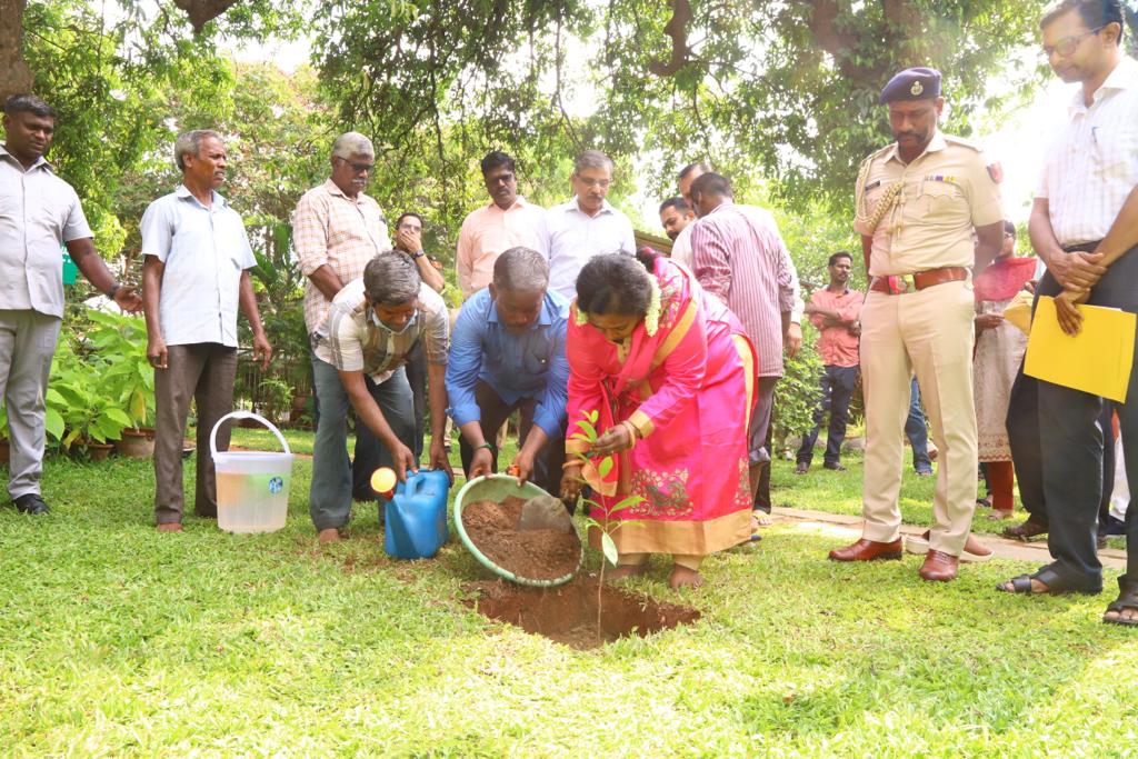 LGov_Puducherry's tweet photo. Happy #WorldEnvironmentDay!
Celebrate the power of trees and their vital role in our #ecosystem. 
#Treesampling is a wonderful way to connect with nature &amp; contribute to #environmental conservation.(1/2) 
@PMOIndia
@DrTamilisaiGuv @airnews_puduvai @airnewsalerts @DDNewslive @ANI https://t.co/qbFgMbODX2