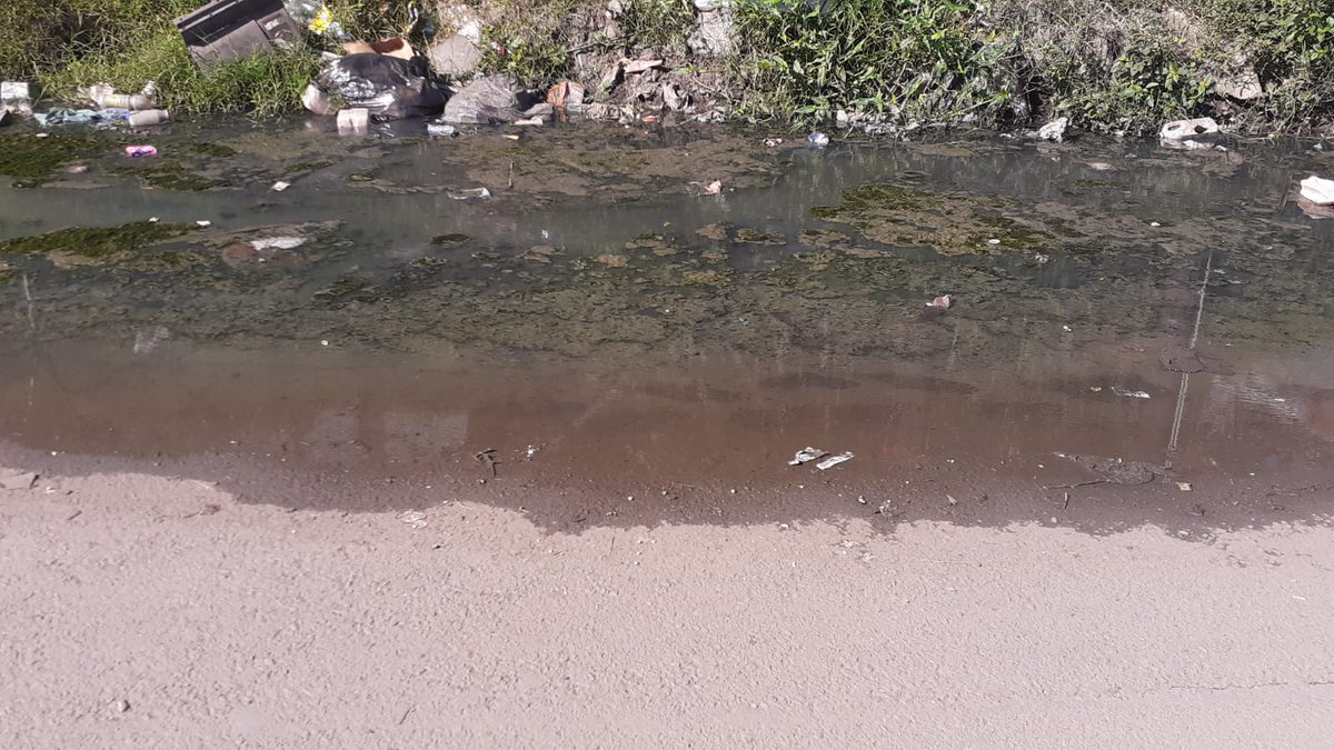 SA SDI Alliance tweet media