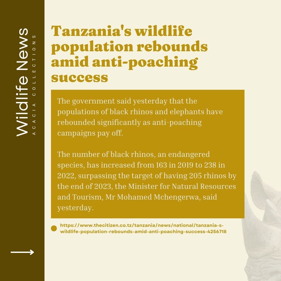 Tanzania's wildlife population rebounds amid anti-poaching success  

thecitizen.co.tz/tanzania/news/…

#acaciacollections
#tanzanialeadingtentedsafaricamp
#tanzaniasafari
#wildlifenews
#tanzanianews