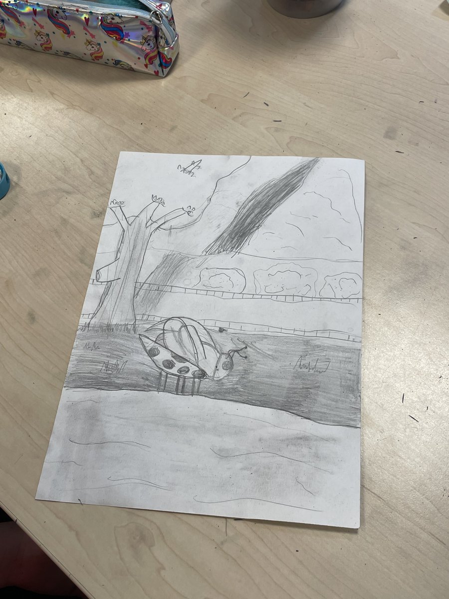 P5/6 explored our school grounds to find items & animals to help inspire them to create sketches by using their knowledge of line, shade and realism. They plan to use these drawing to help them with writing their outdoor themed poems which will contribute to the John Muir Award.