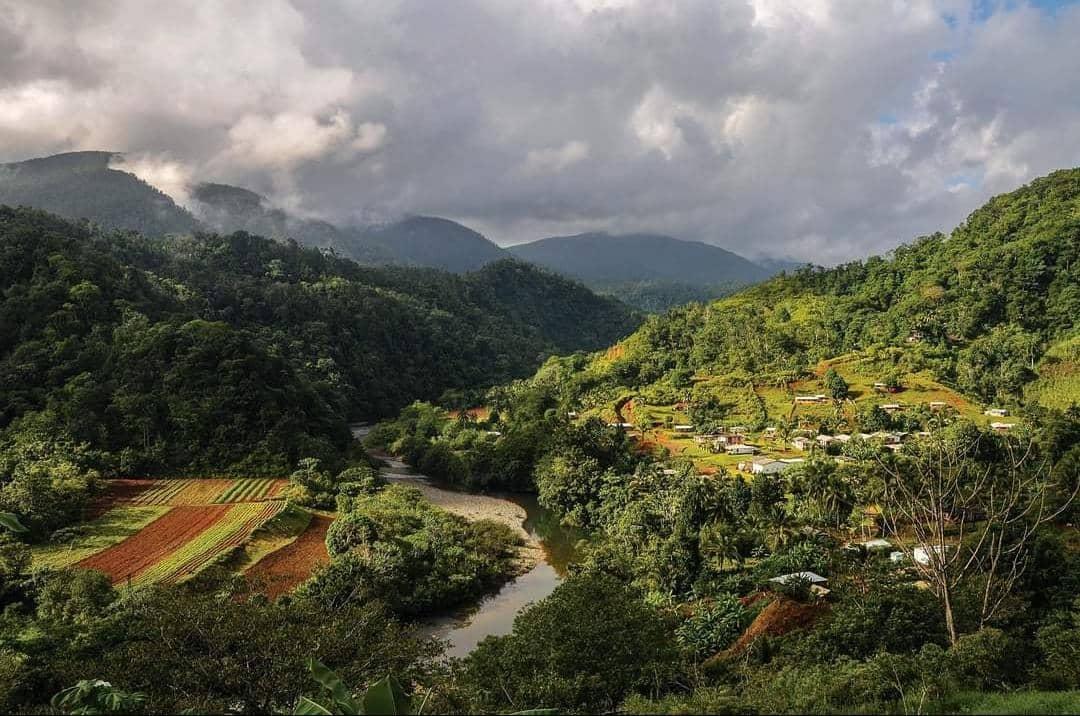 Como cada año en el Día Mundial del #MedioAmbiente reafirmamos nuestro compromiso de proteger los recursos naturales del país y promover un medio ambiente sano y equilibrado para todos los cubanos. Esa es la base del desarrollo sostenible que anhelamos.