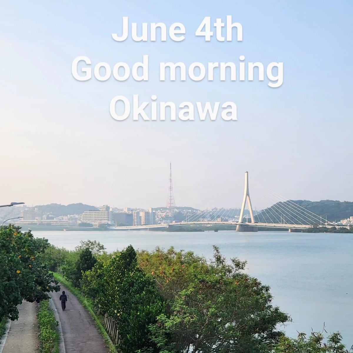 linda_tonaki's tweet photo. 6月4日

5:30 起床　ウォーキング

10:30 大宜味村へ出発！

12:00 蕎麦ランチ

13:00 大宜味村道の駅で買物

13:45 名護市大家で買物

15:20 帰宅
山原観光の１日 楽しかったわ🎵

いつの間にか寝落ち
真夜中に目覚め
慌てて片付けをして

年休29日目終了

＃年休日記
＃29thday
＃大宜味村の和蕎麦 https://t.co/8vctJH9tFZ