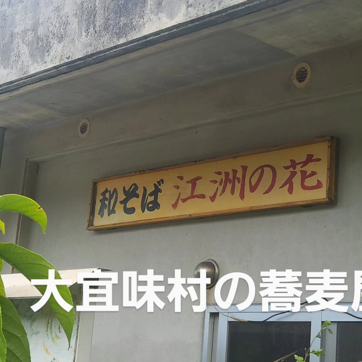 linda_tonaki's tweet photo. 6月4日

5:30 起床　ウォーキング

10:30 大宜味村へ出発！

12:00 蕎麦ランチ

13:00 大宜味村道の駅で買物

13:45 名護市大家で買物

15:20 帰宅
山原観光の１日 楽しかったわ🎵

いつの間にか寝落ち
真夜中に目覚め
慌てて片付けをして

年休29日目終了

＃年休日記
＃29thday
＃大宜味村の和蕎麦 https://t.co/8vctJH9tFZ