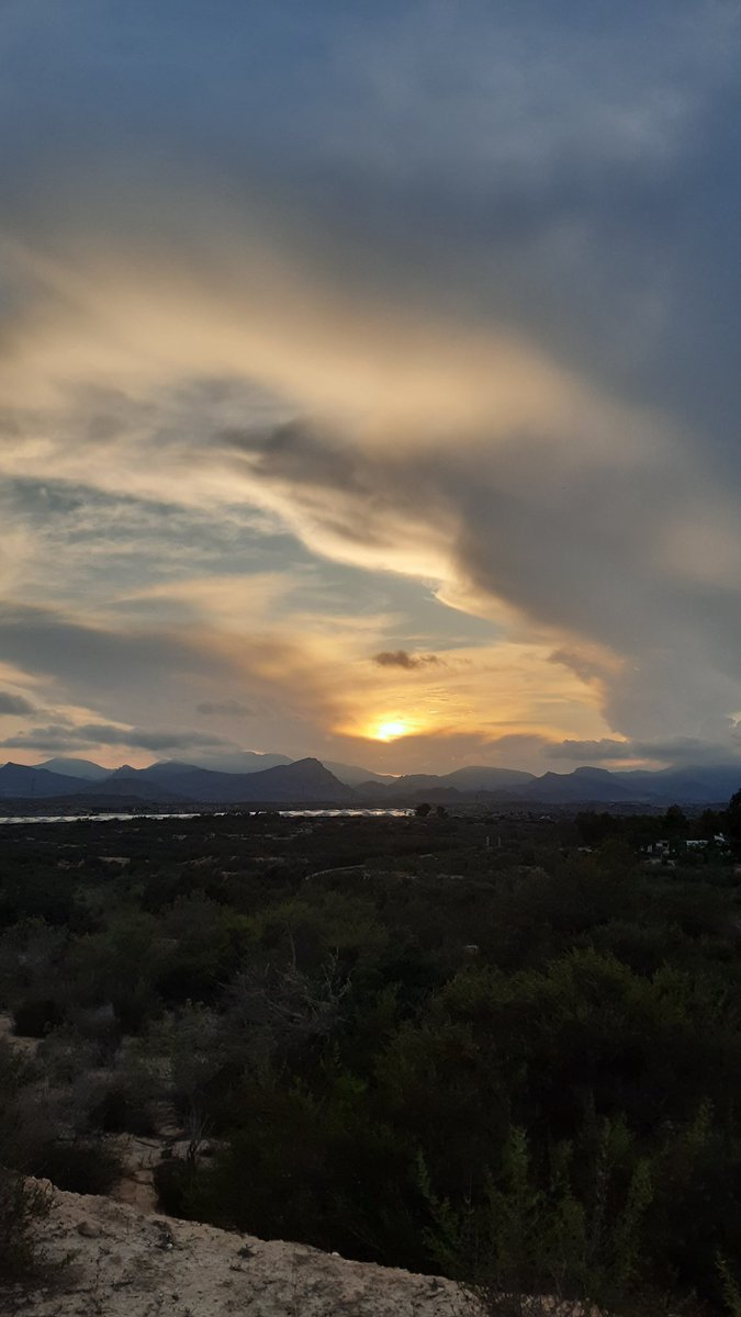 NicaMonzen's tweet photo. Siempre nuestros pasos unidos, nuestros caminos de la #Vida nos unió y quién soy yo para cambiar nuestros destinos. 

Mis motores para andar, para dar 1 paso o 20, según la #Salud me lo permita. 

#misperros #Motivacion #aquiyahora https://t.co/E3p6zjuUJA