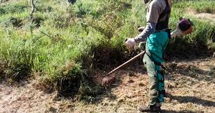 De conformidad con los artículos 17.3 y 18 de la Ordenanza de Convivencia Ciudadana:

 - Se recuerda a los propietarios, la obligatoriedad de la LIMPIEZA Y DESBROCE DE SOLARES y otros terrenos de propiedad particular DESDE EL 1 DE JUNIO.

fresnedillasdelaoliva.es/2023/06/05/lim…