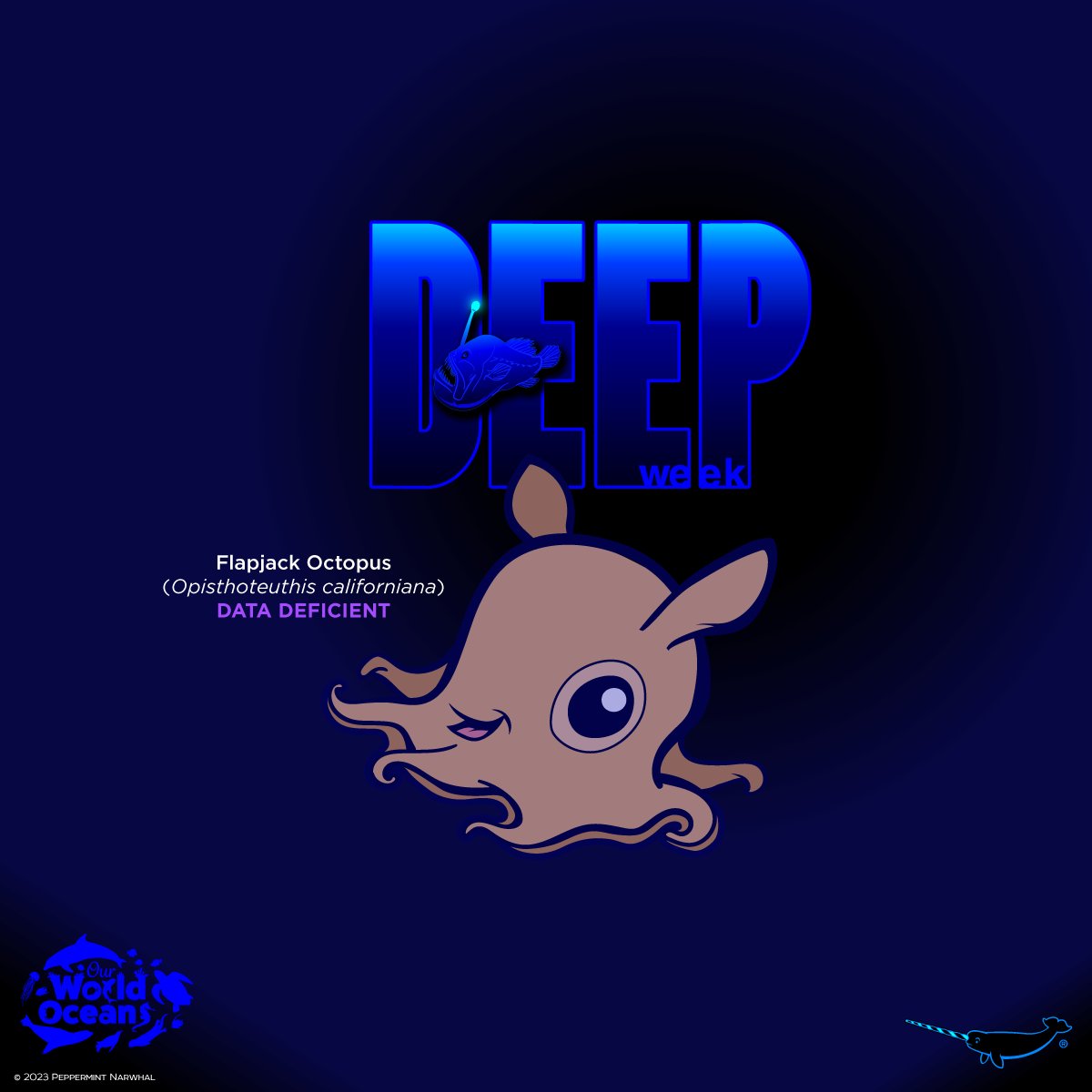 #DeepWeek #FlapjackOctopus 
#OurWorldOceans

Endangered 5 #EnamelPins #Kickstarter tinyurl.com/2n8pe326

Shop #PeppermintNarwhal peppermintnarwhal.com

#OceanMonth #Ocean #Squid