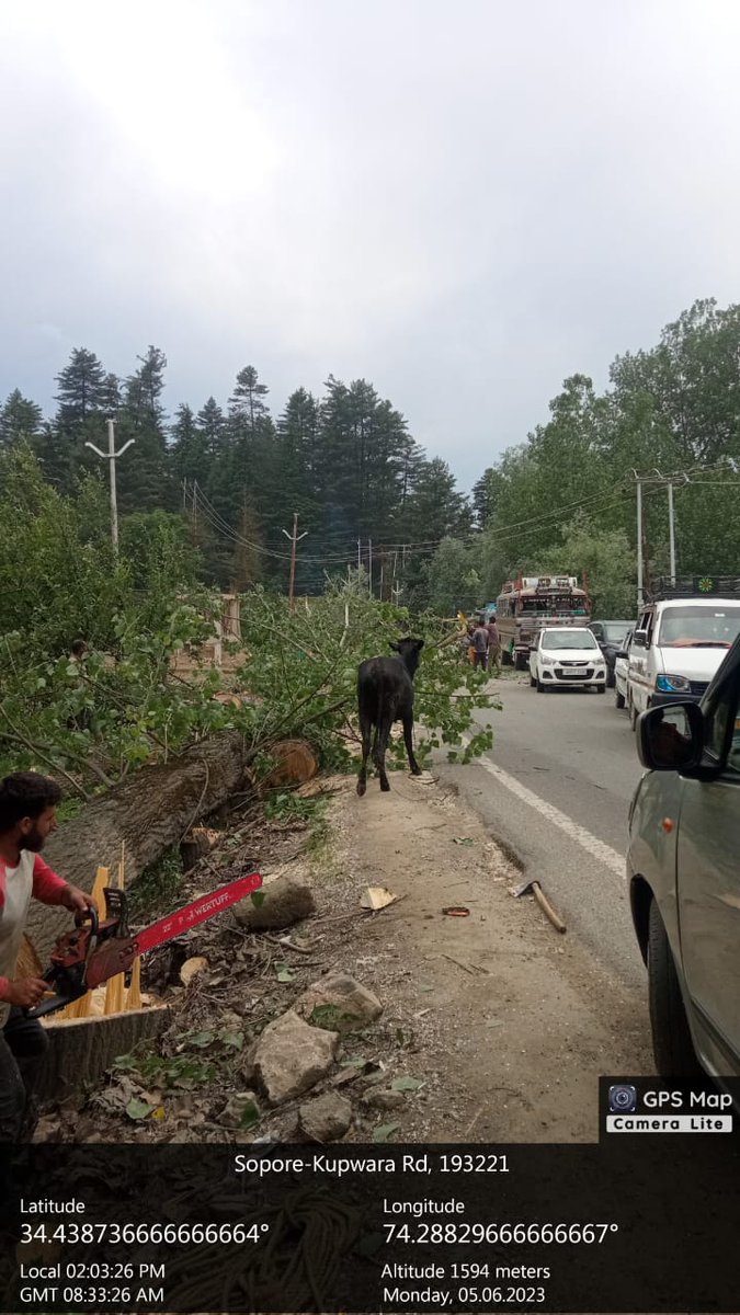 std_subkup's tweet photo. Branch cutting and cutting of poplar trees along corridor of 33 kV handwara old line. @BaseerUlHaqIAS @infokupwara @dckupwara @KPDCLOfficial @KpdclS @SESOPOREKPDCL https://t.co/VR3CLhMp2Y