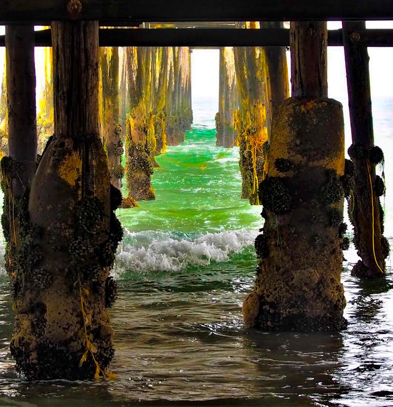 Pier Life
Photographer Jon Pinter
#sandiegolife #sandiegophotographer #sandiegophotography
#socalphotographer #socal #mysdphoto #photography #photographyisanart #PhotoOfTheDay #fotografie #coast #coastlife #coastal #beach #beachlife #sandiego #socal #california #olympusphotograph