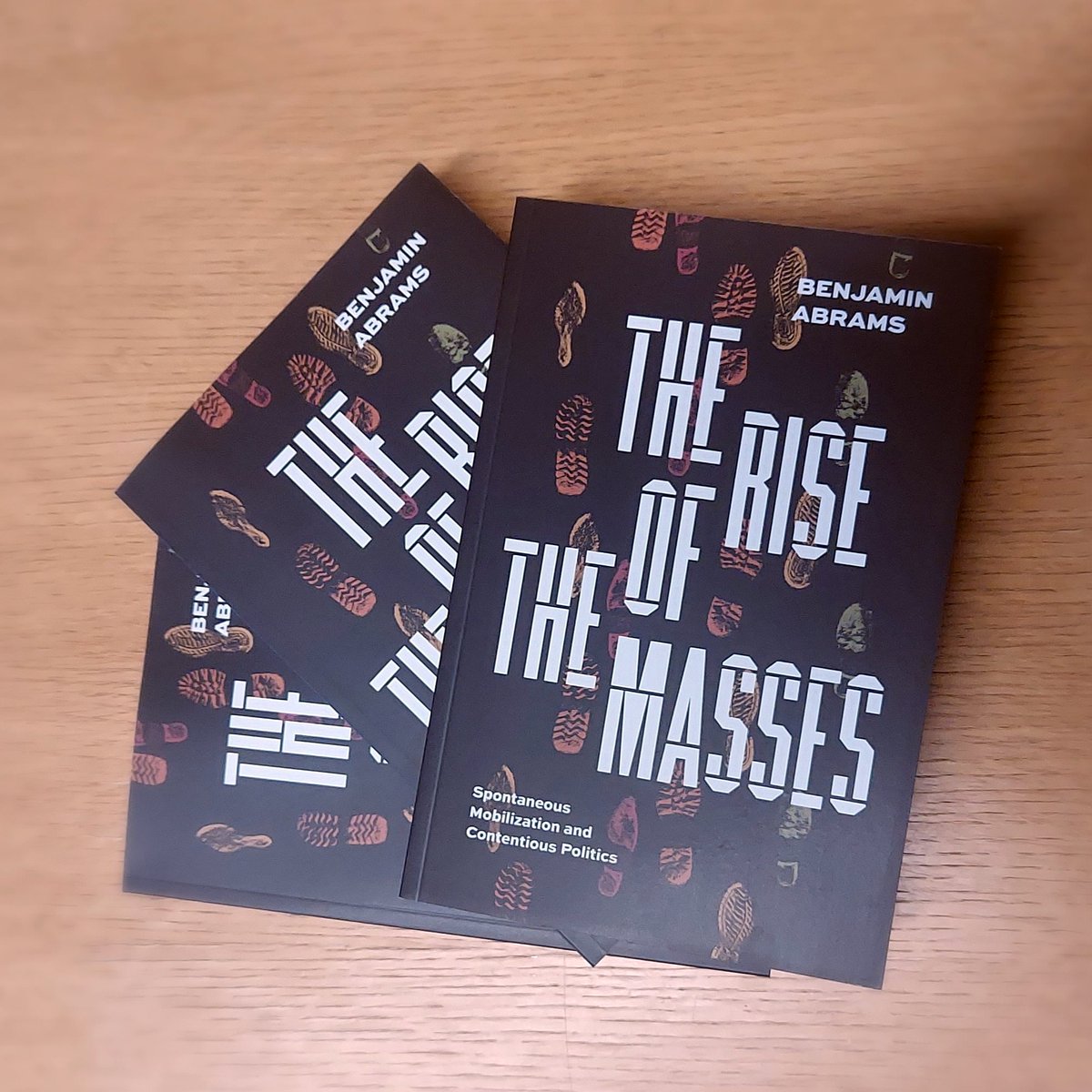 Countdown begins!  My book, The Rise of the Masses, releases this week: Friday, June 9.  

Delve into why and how mass protests erupted in the 2020 #BlackLivesMatter uprising, Egypt's #Jan25 Revolution, #OccupyWallStreet,  and the 1789 French Revolution. 

 Stay tuned for more!