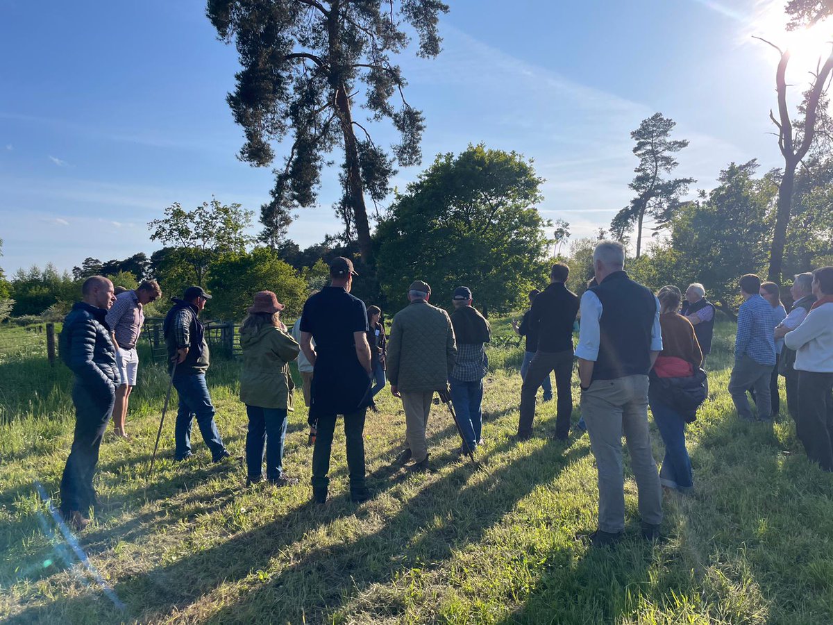 Stonehouse Farm recently provided the backdrop for a picture-perfect spring farmwalk with BFWN members, chatting all things habitat creation & curlew conservation @Ewing_birds.Also an opportunity to thank @cathyjmumford for everything she's done for the network #landscaperecovery