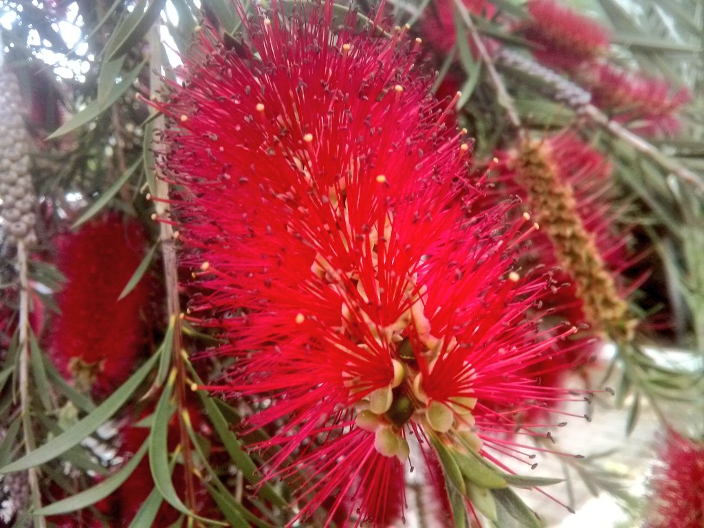 Kısa bir günde objektifime giren.