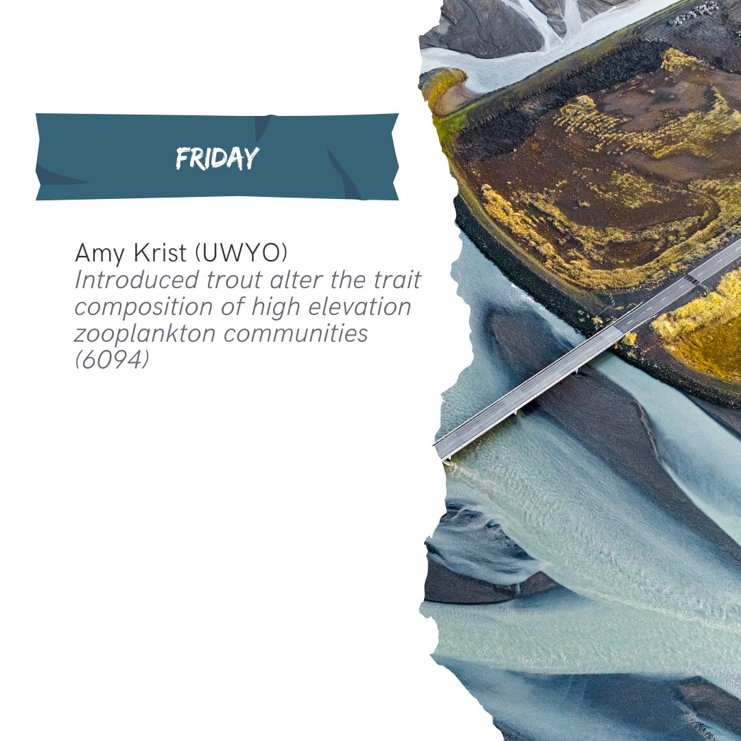 ecostoich's tweet image. ES Cooperative members are going global this summer! As SFS winds down, we are off to Majorca for the #ASLO23. 

@aslo_org @UNLSNR @NebraskaEPSCoR @limnojess @EvoEcoEric @AquatiCasey @UWyonews @Middlebury @WyomingEPSCoR @vermont_epscor 
#STOICH #stoichiometry