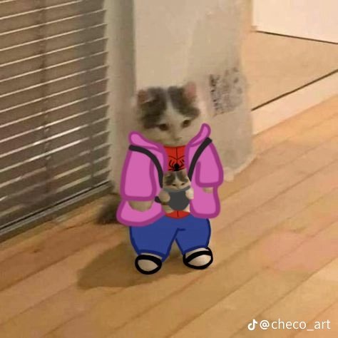 _B3CHU's tweet photo. #CatsOfTwitter #SpiderVerse 
Found this on tiktok, loved it, saves it and now it's my whatsapp pfp https://t.co/ihEhBKcGcA