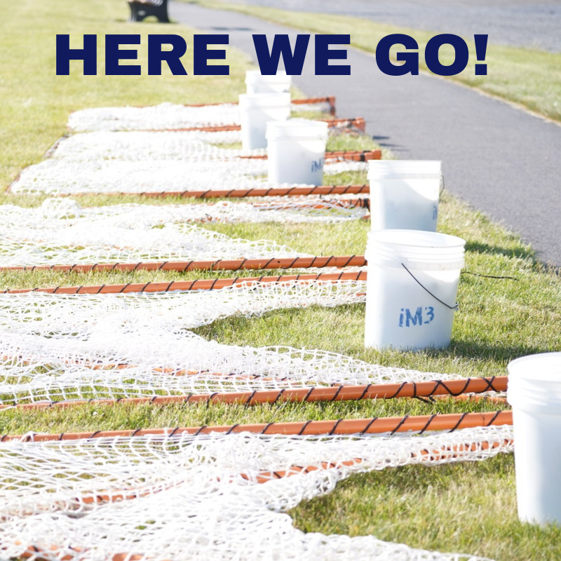 iM3 Lacrosse tweet media