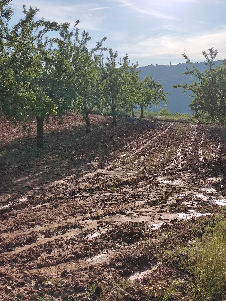 👉Uns cinquanta litres no està gens malament després dels mesos terribles de sequera que hem patit, oi? Una bona regada que convenia moltíssim i el riu ja torna a baixar! Ara desitgem que no es torni a oblidar de ploure 🙏
#Ulldemolins #LaValldelSilenci