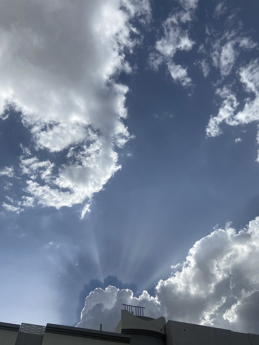 منْ ظنَّ بِالله خيراً ، فلن يُخيِّب الله ظنَّه ، ومن شكر الله على نعمةٍ ، زادهُ الله مِن فضله ، ومن توكَّل علىٰ الله فهوَ حسبه.🤎