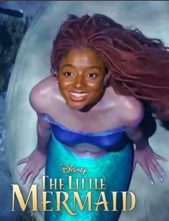 La BULGAROTA del mangle