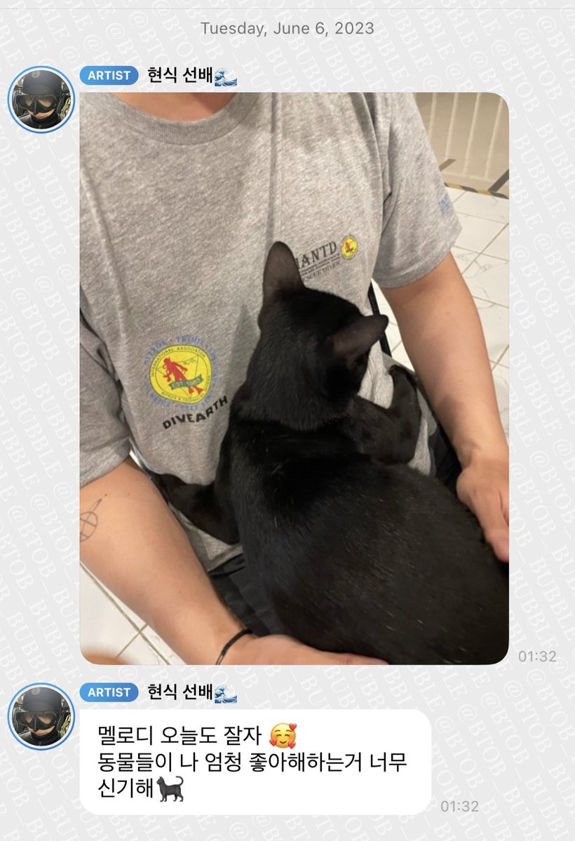 230606 임현식 버블