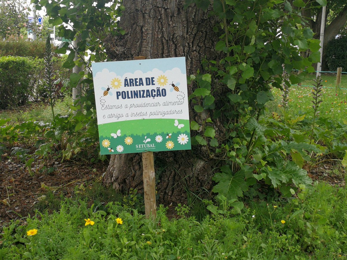 Senderuelos tweet media