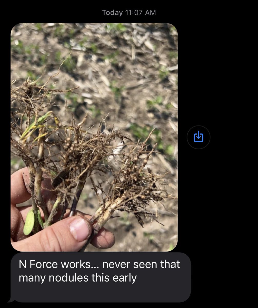 BDallmanDEI's tweet photo. I just keep getting happy texts and videos from all of my customers about N-Force Inoculant!  Reach out to me for special Double Crop Soybean pricing! #NForce #Inoculant #DoubleCrop @DirectEntInc https://t.co/UOOCAs3rpU
