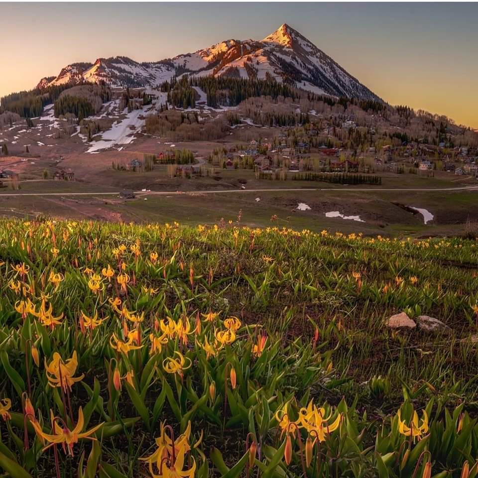 Good Morning  Frens 
Crested Butte Colorado 🏔

📸 @colorado.wanderer 
 
#IMFROMDENVER  #CrestedButte