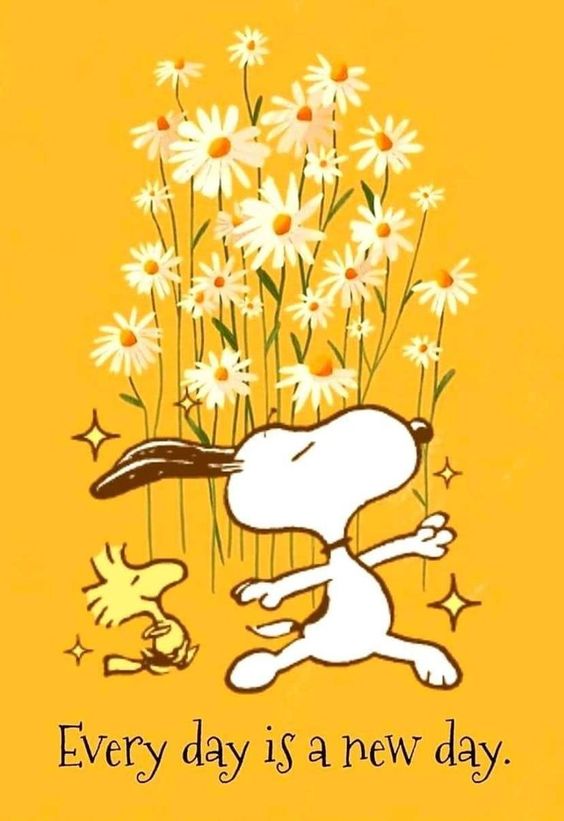 amosmagamous's tweet image. #MondayMusing :)